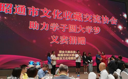 昭通市文化收藏交流協會成立，川滇兩地文化藝術交流迎來新篇章